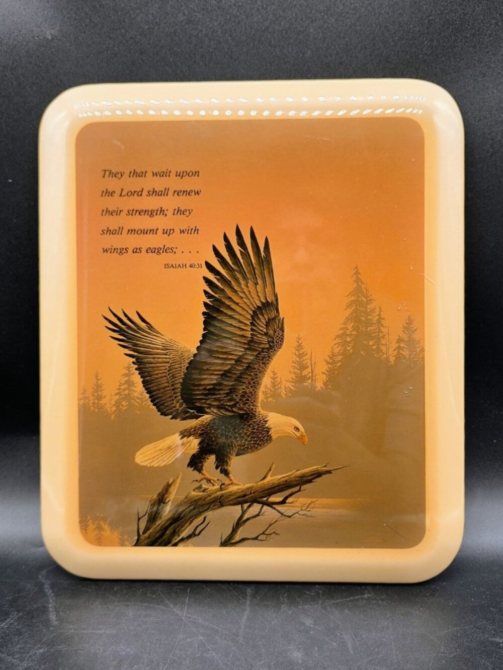 Vintage 1990s Flying Eagle Isaiah 40:31 Laquered Wood 11x9 Plaque Kirkwood Decor
